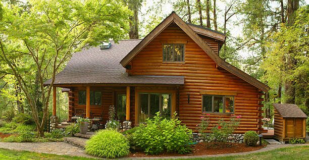 Rustic log cabin surrounded by trees with a freshly stained wood exterior by an exterior painter in Buffalo, MN